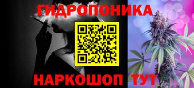 хмурый Новозыбков