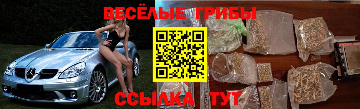 Псилоцибиновые грибы GOLDEN TEACHER  Вход с VPN  Нижневартовск 